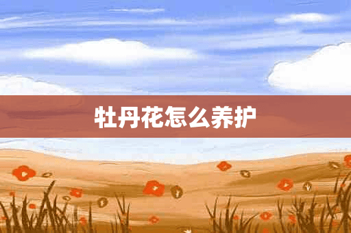 牡丹花怎么养护