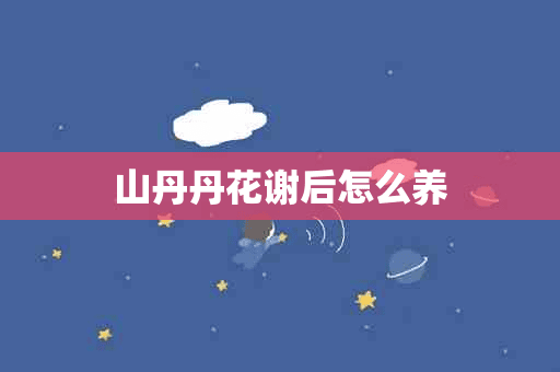 山丹丹花谢后怎么养