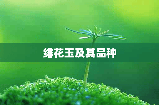 绯花玉及其品种