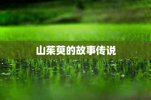 山茱萸的故事传说