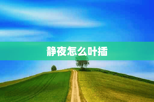 静夜怎么叶插