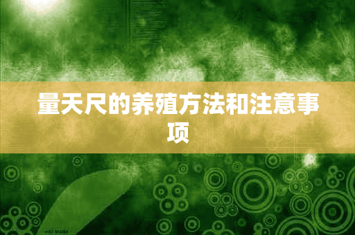 量天尺的养殖方法和注意事项