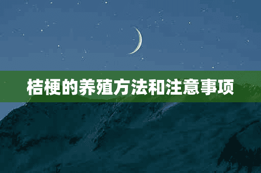 桔梗的养殖方法和注意事项