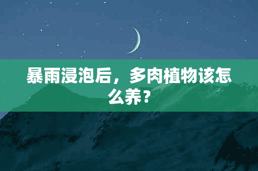 暴雨浸泡后，多肉植物该怎么养？