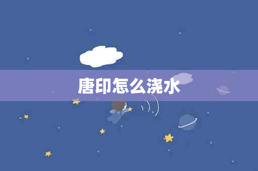 唐印怎么浇水