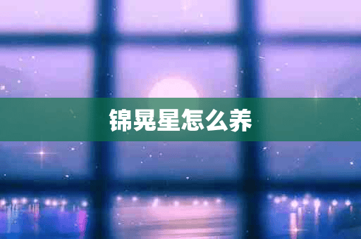 锦晃星怎么养