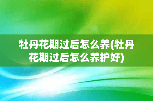 牡丹花期过后怎么养(牡丹花期过后怎么养护好)