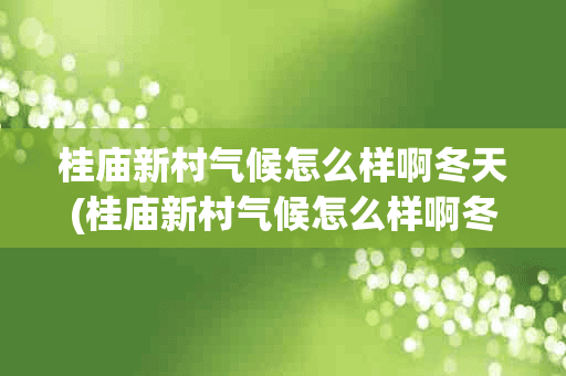 桂庙新村气候怎么样啊冬天(桂庙新村气候怎么样啊冬天气温)