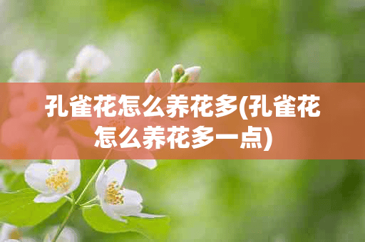 孔雀花怎么养花多(孔雀花怎么养花多一点)