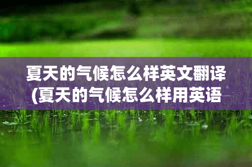 夏天的气候怎么样英文翻译(夏天的气候怎么样用英语怎么说)