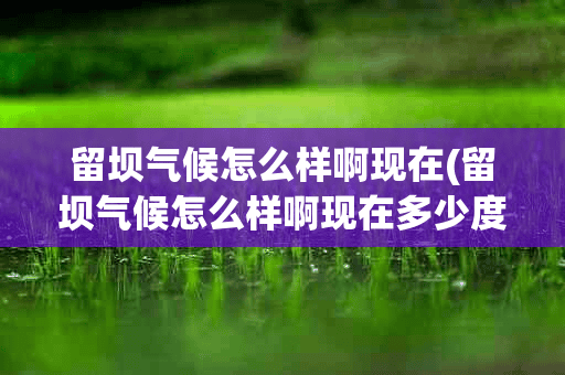 留坝气候怎么样啊现在(留坝气候怎么样啊现在多少度)