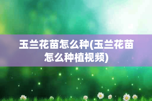 玉兰花苗怎么种(玉兰花苗怎么种植视频)