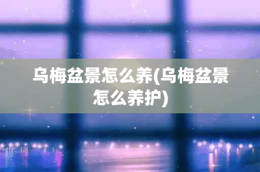 乌梅盆景怎么养(乌梅盆景怎么养护)