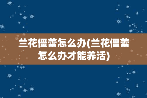 兰花僵蕾怎么办(兰花僵蕾怎么办才能养活)