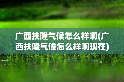 广西扶隆气候怎么样啊(广西扶隆气候怎么样啊现在)