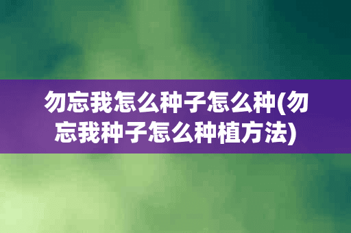 勿忘我怎么种子怎么种(勿忘我种子怎么种植方法)