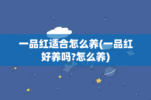 一品红适合怎么养(一品红好养吗?怎么养)