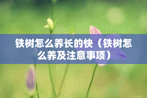 铁树怎么养长的快（铁树怎么养及注意事项）