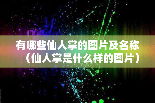 有哪些仙人掌的图片及名称（仙人掌是什么样的图片）