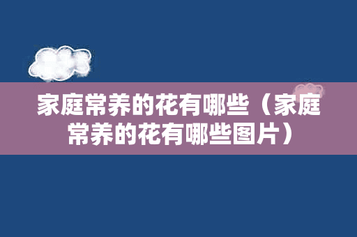 家庭常养的花有哪些（家庭常养的花有哪些图片）