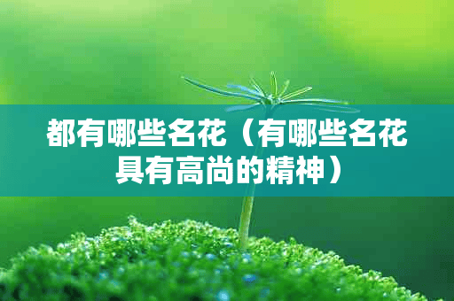 都有哪些名花（有哪些名花具有高尚的精神）