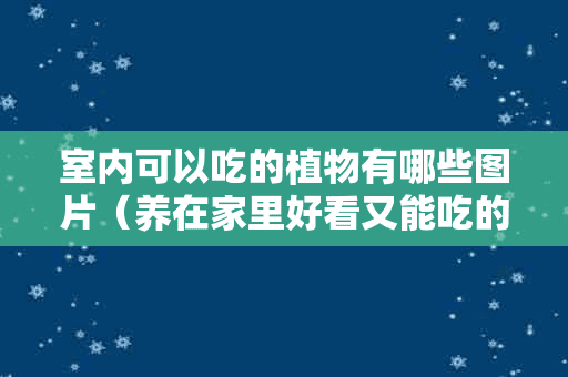 室内可以吃的植物有哪些图片（养在家里好看又能吃的植物）