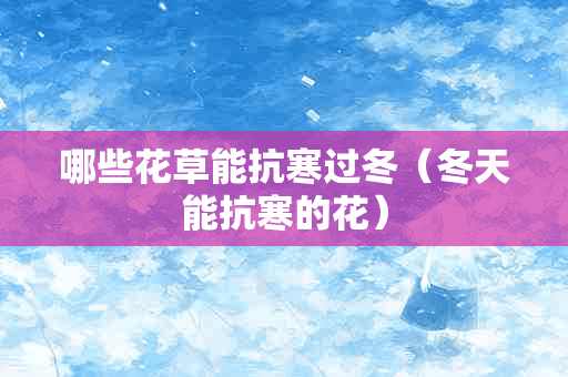 哪些花草能抗寒过冬（冬天能抗寒的花）