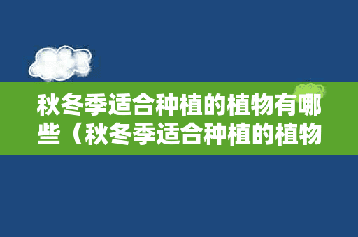 秋冬季适合种植的植物有哪些（秋冬季适合种植的植物有哪些盆栽）