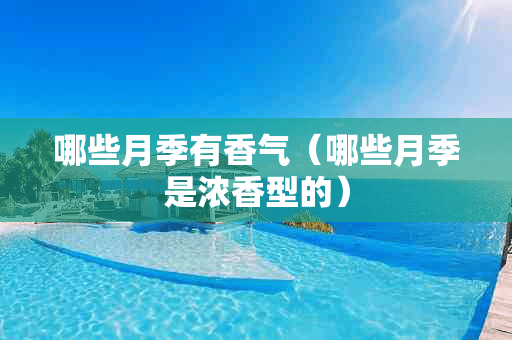 哪些月季有香气（哪些月季是浓香型的）