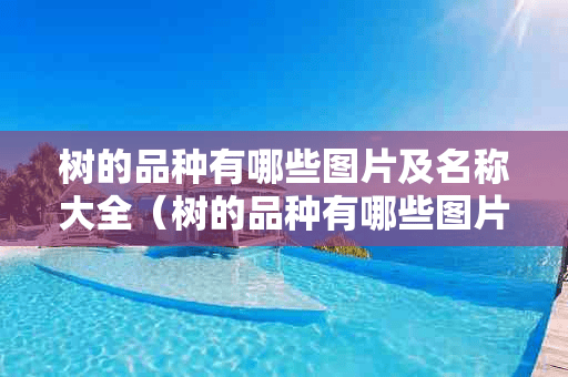 树的品种有哪些图片及名称大全（树的品种有哪些图片及名称大全简单）