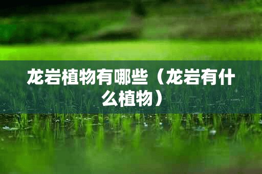 龙岩植物有哪些（龙岩有什么植物）