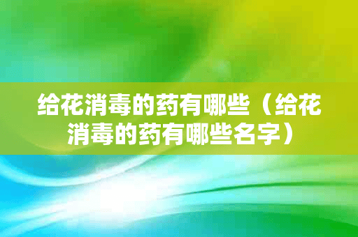 给花消毒的药有哪些（给花消毒的药有哪些名字）