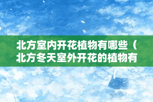 北方室内开花植物有哪些（北方冬天室外开花的植物有哪些）