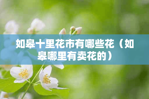 如皋十里花市有哪些花（如皋哪里有卖花的）