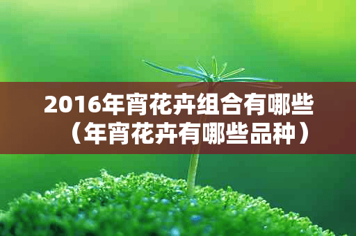 2016年宵花卉组合有哪些（年宵花卉有哪些品种）