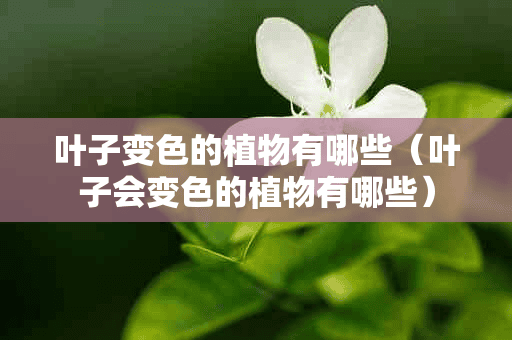 叶子变色的植物有哪些（叶子会变色的植物有哪些）